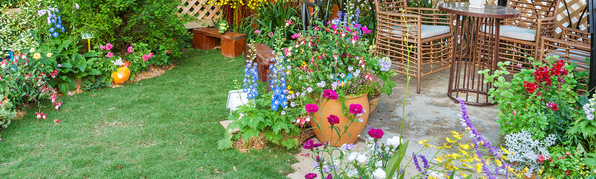 Jardin écologique : le recycalge utile pour les semis - Blog maison  écologique : le green blog