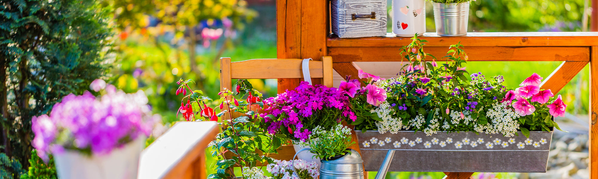 Jardinière,Garden Arrosage Automatique Pot de Fleurs à Suspendre
