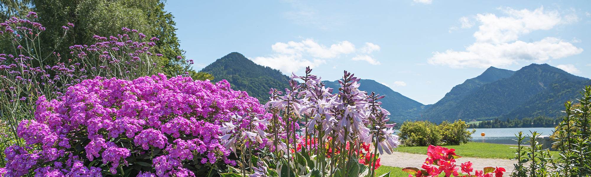 Un jardin en montagne