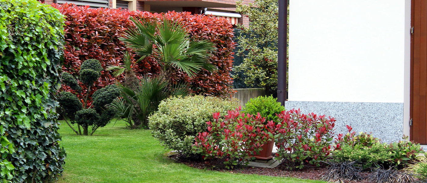 Un jardin à l'abri des regards