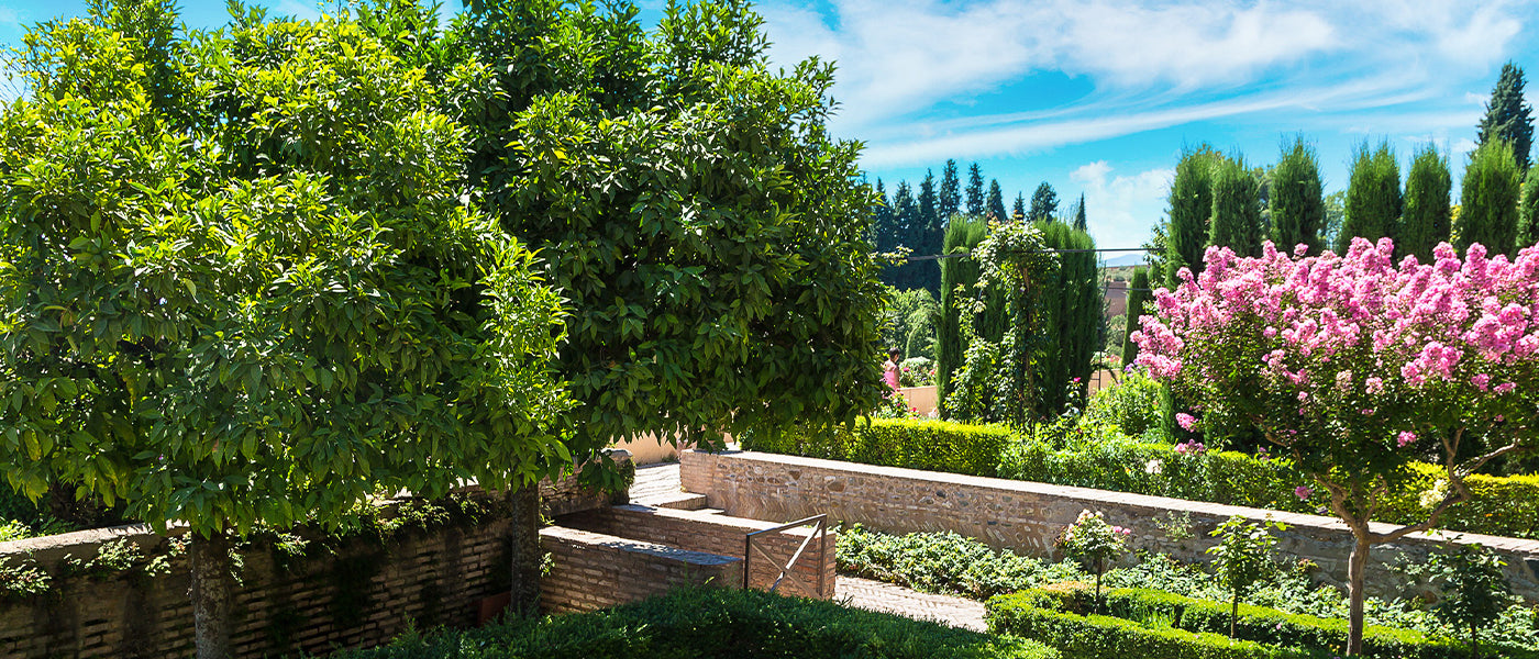 Un jardin adapté au climat