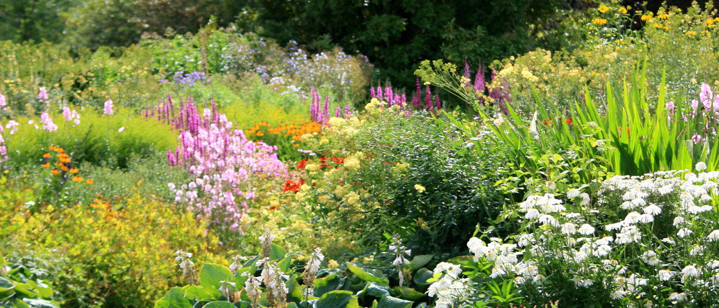 Un jardin fleuri toute l'année