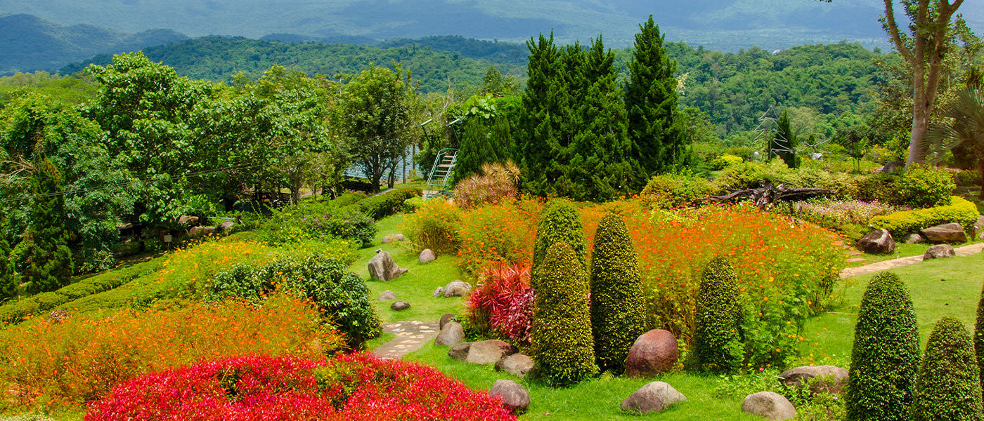 Un jardin ensoleillé