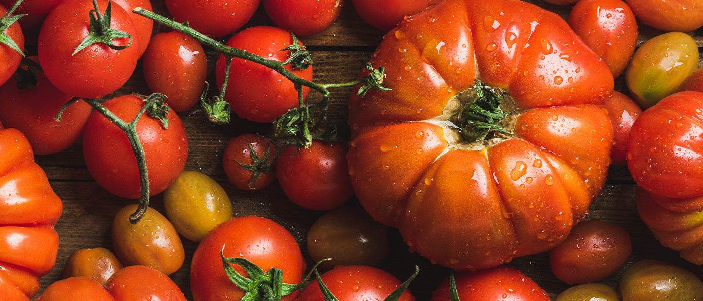 Tomates maraîchères