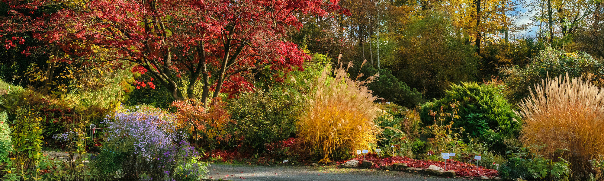 Les Couleurs d'automne jusqu'à -25%