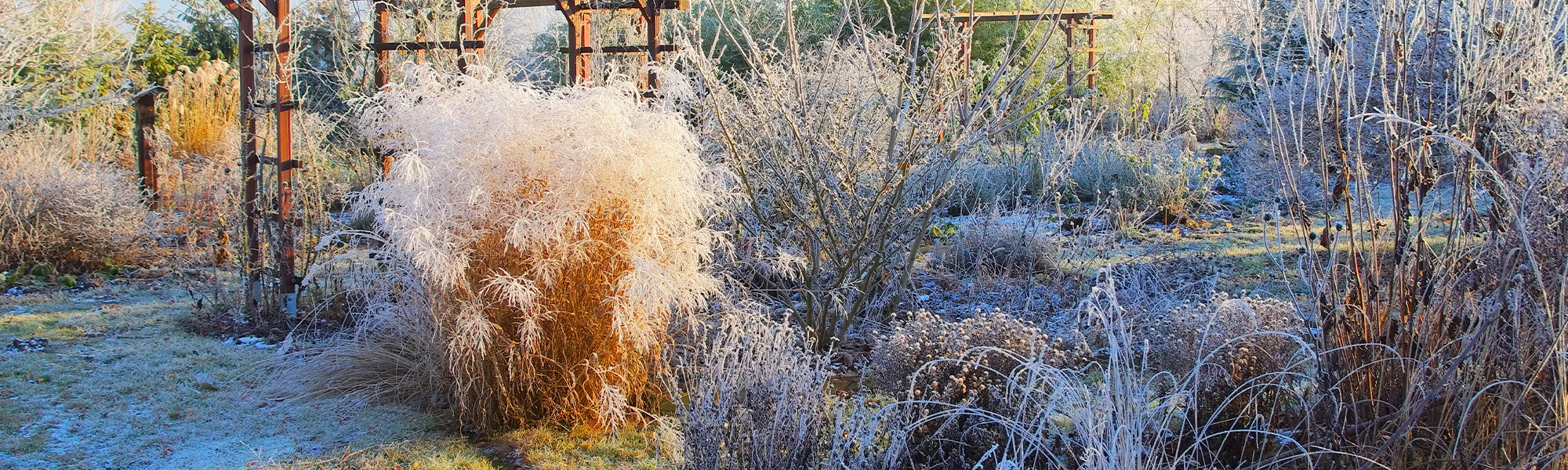 Bannière pour une ambiance d'hiver jusqu'à -30% !