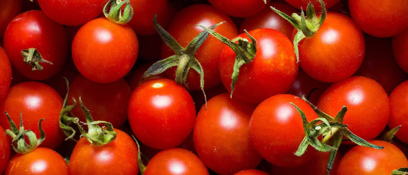 Tomates cerises