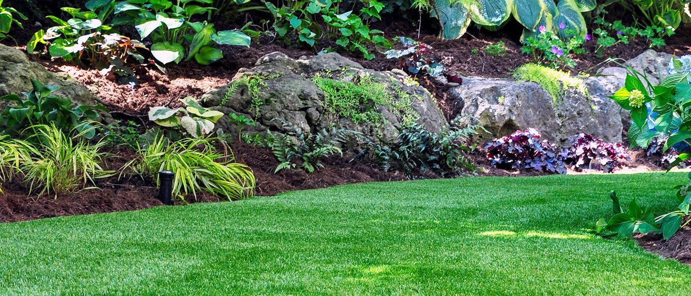 Un jardin à l'ombre