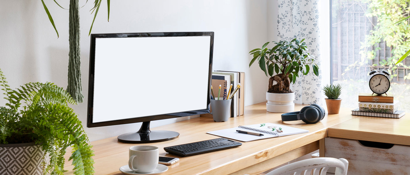 Petites plantes de bureau et d'intérieur