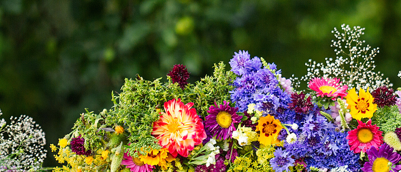 Tapis de fleurs