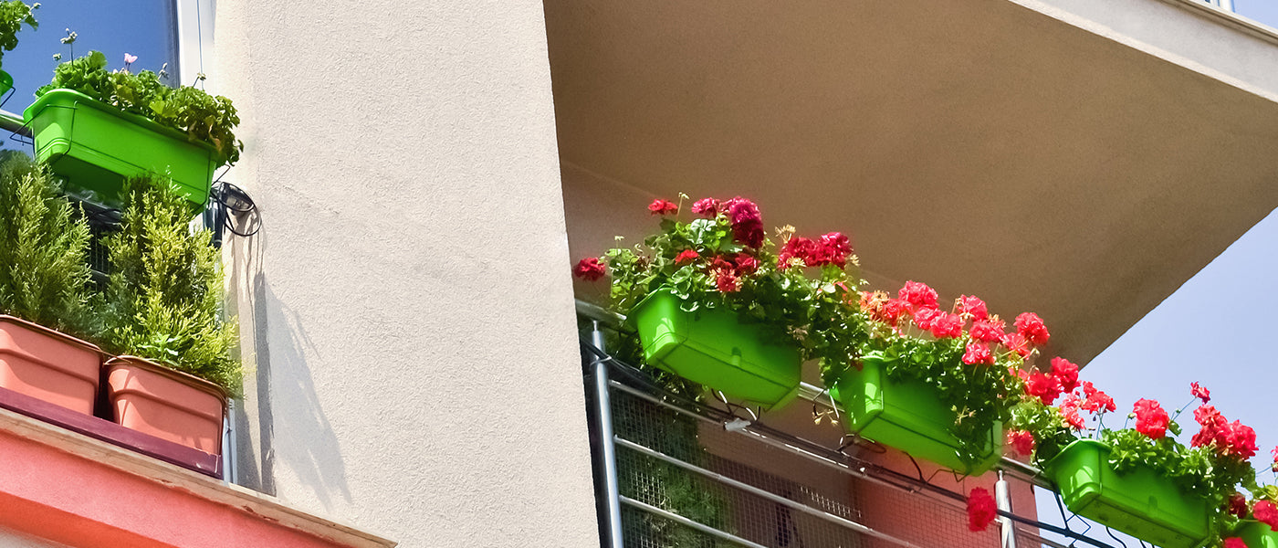 Le balcon