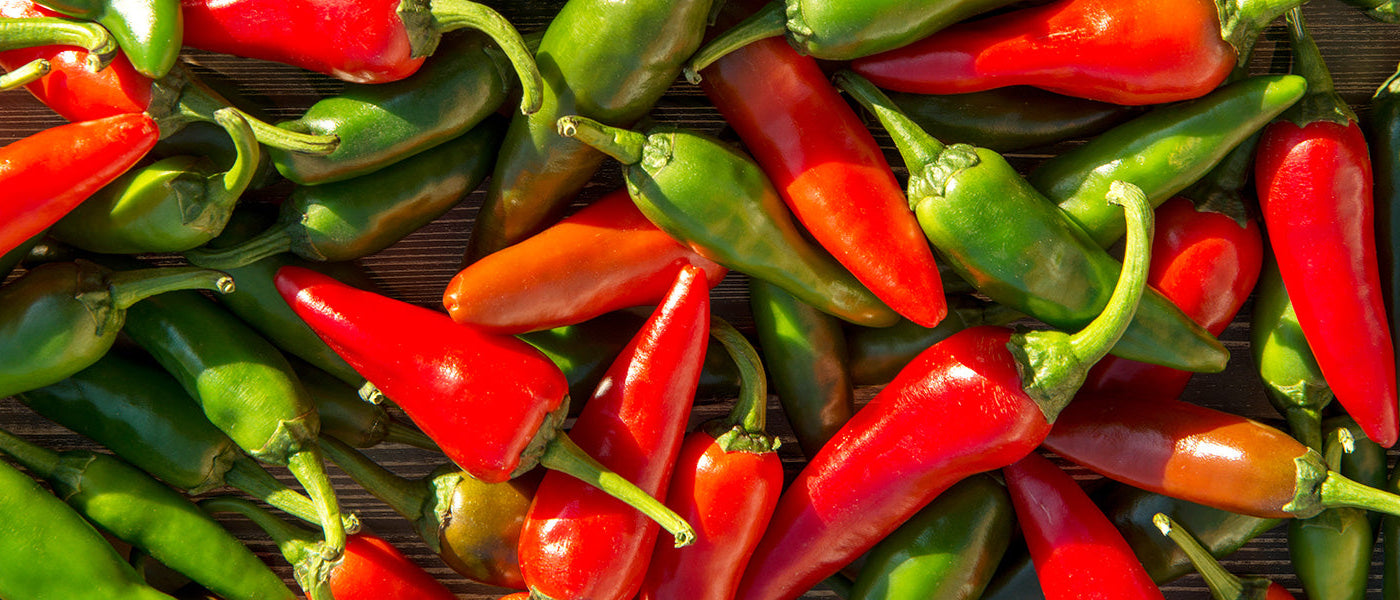 Piment baqueté - Capsicum baccatum