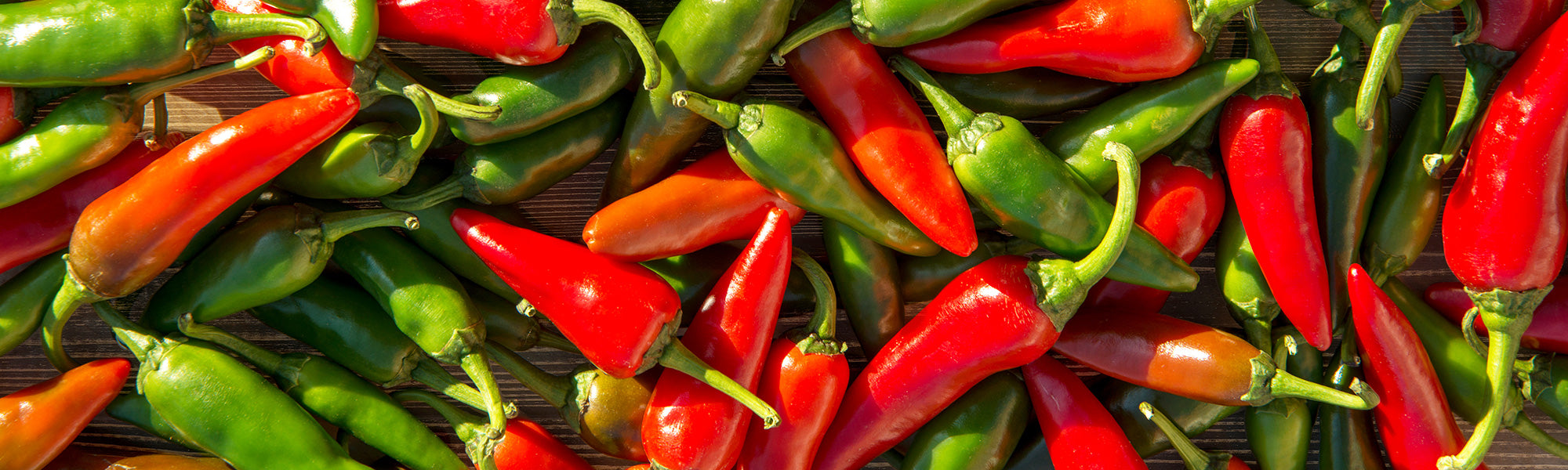 Piment baqueté - Capsicum baccatum