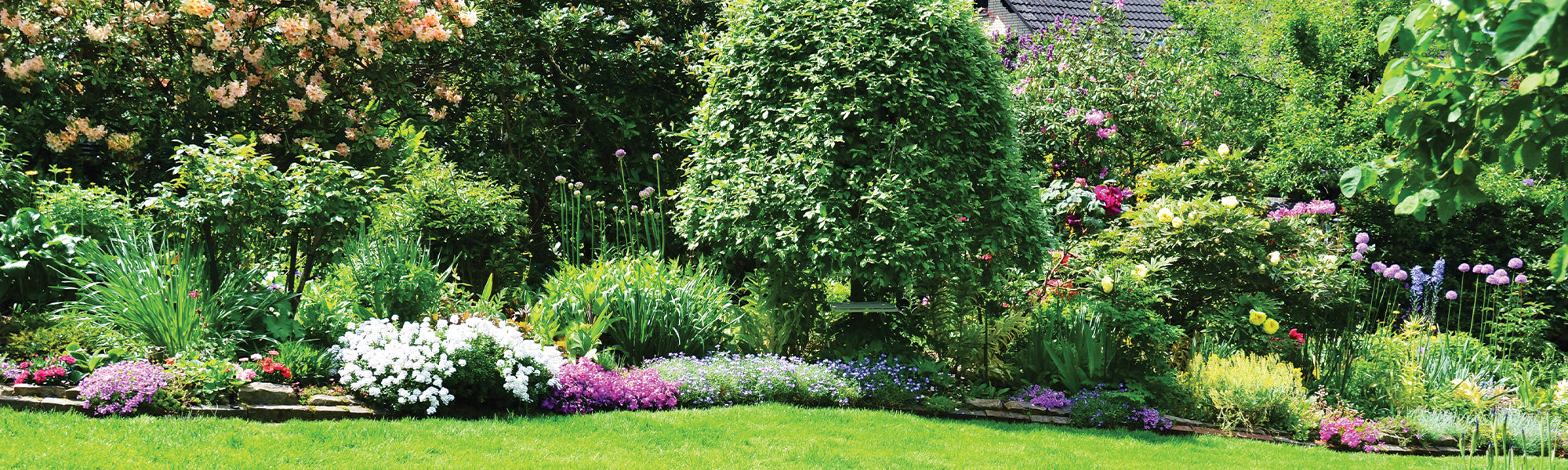 Jardin beau en été