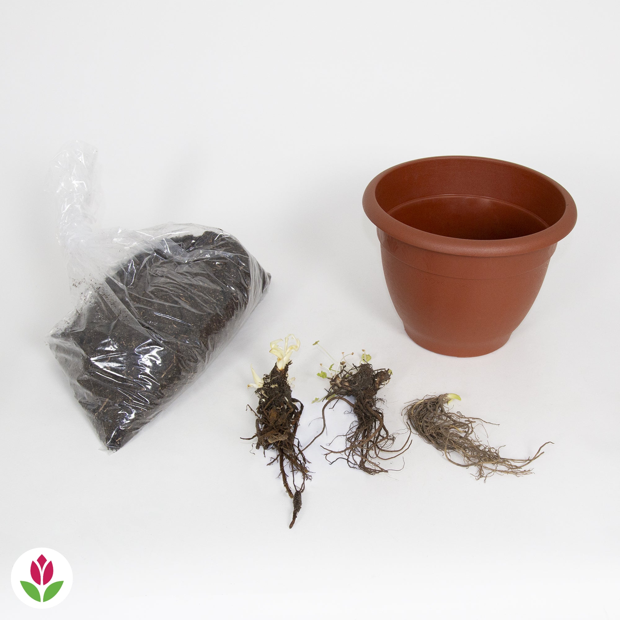 Kit Pot fleuri pour balcon