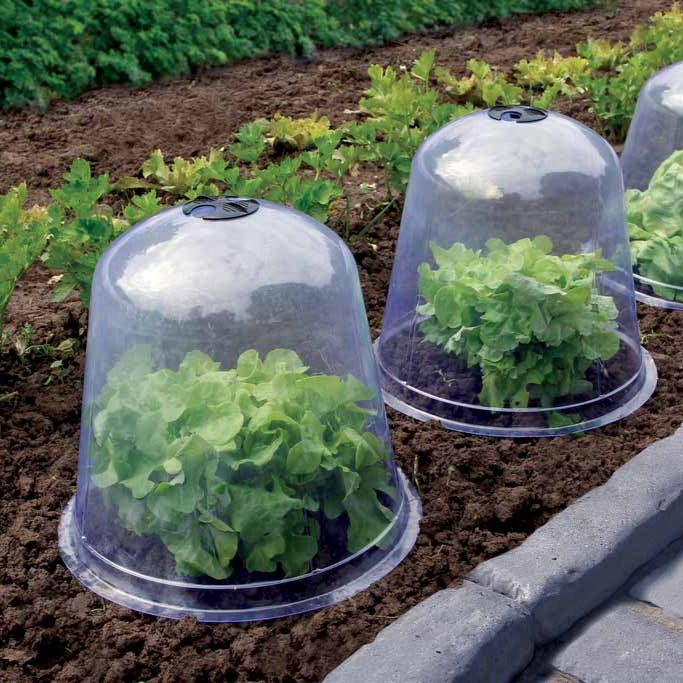 Kit serre plantes aromatiques prêt à pousser - Équipement potager -  Aménagement de jardin - Jardin et Plein air