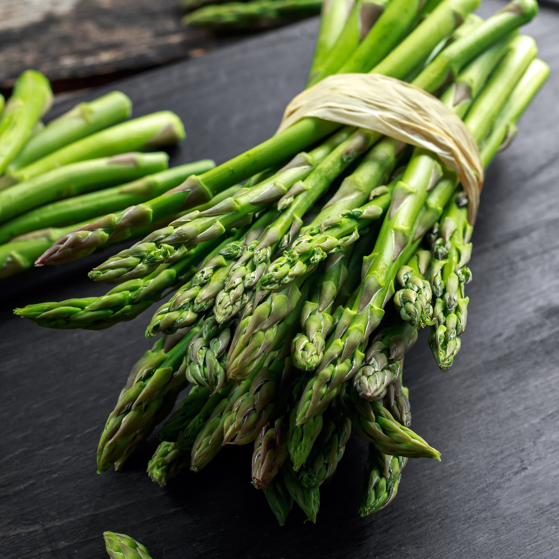 20 Asperges vertes Lima - Asparagus officinalis lima - Potager