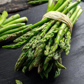 20 Asperges vertes Lima - Asparagus officinalis lima - Potager