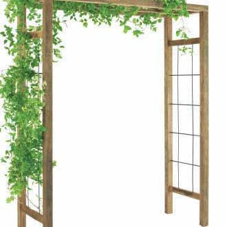 Pergola bois Ikebana - Plantes