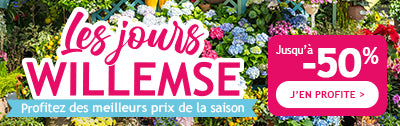 Jours Willemse: jusqu'à -50% de remise !