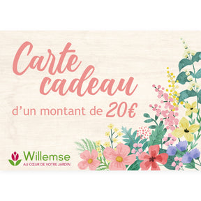 Cartes Cadeaux