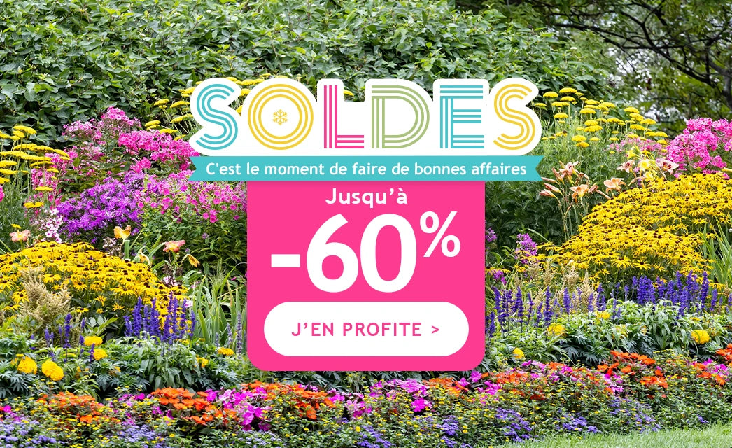 Les soldes d'hiver jusqu'à -60% !