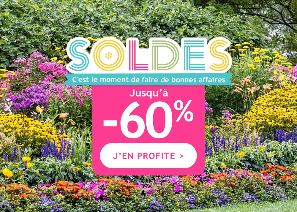 Les soldes d'hiver jusqu'à -60% !