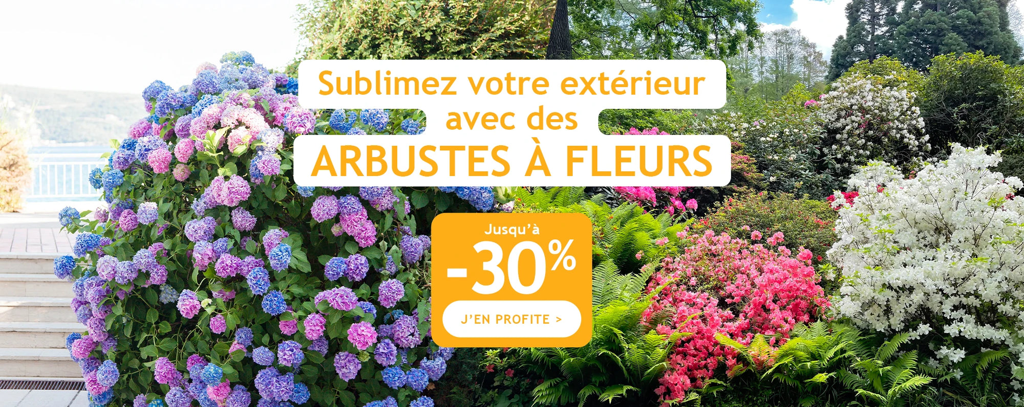 Sublimez votre extérieur avec des arbustes à fleurs !