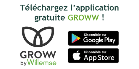 Téléchargez l'application gratuite Groww