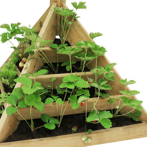 Jardinière bois pyramide Maya 80 cm - Maya pyramide à plants 80 - Plantes