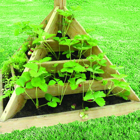 Jardinière bois pyramide Maya 80 cm - Maya pyramide à plants 80 - Pots et contenants pour cultiver vos plantes