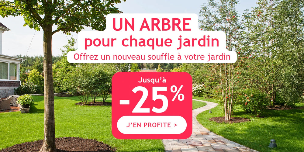 Jusqu'à -25% : un arbre pour chaque jardin