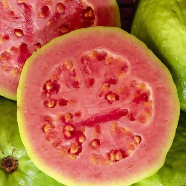 Goyave : propriétés et bienfaits santé de ce fruit