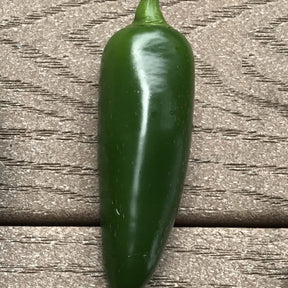 Piment Jalapeno mexicain BIO - Piment jalapeno mexicain bio - Potager