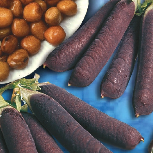 Pois à rames Blauwschokker - Pisum sativum blauwschokker - Potager