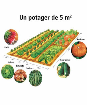 Collection Mon 1er potager de 5 m² - Collections de graines