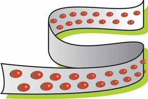 Radis rond National 3 (ruban) - jardins - Raphanus sativus National 3