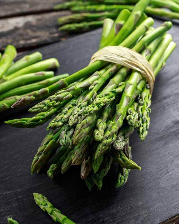 20 Asperges vertes Lima - Asperges - Asparagus officinalis Lima