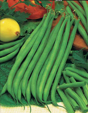 Haricot nain mangetout Princesse doublede Hollande (200 g) - Graines de fruits et légumes - Phaseolus vulgaris Princesse double deHollande